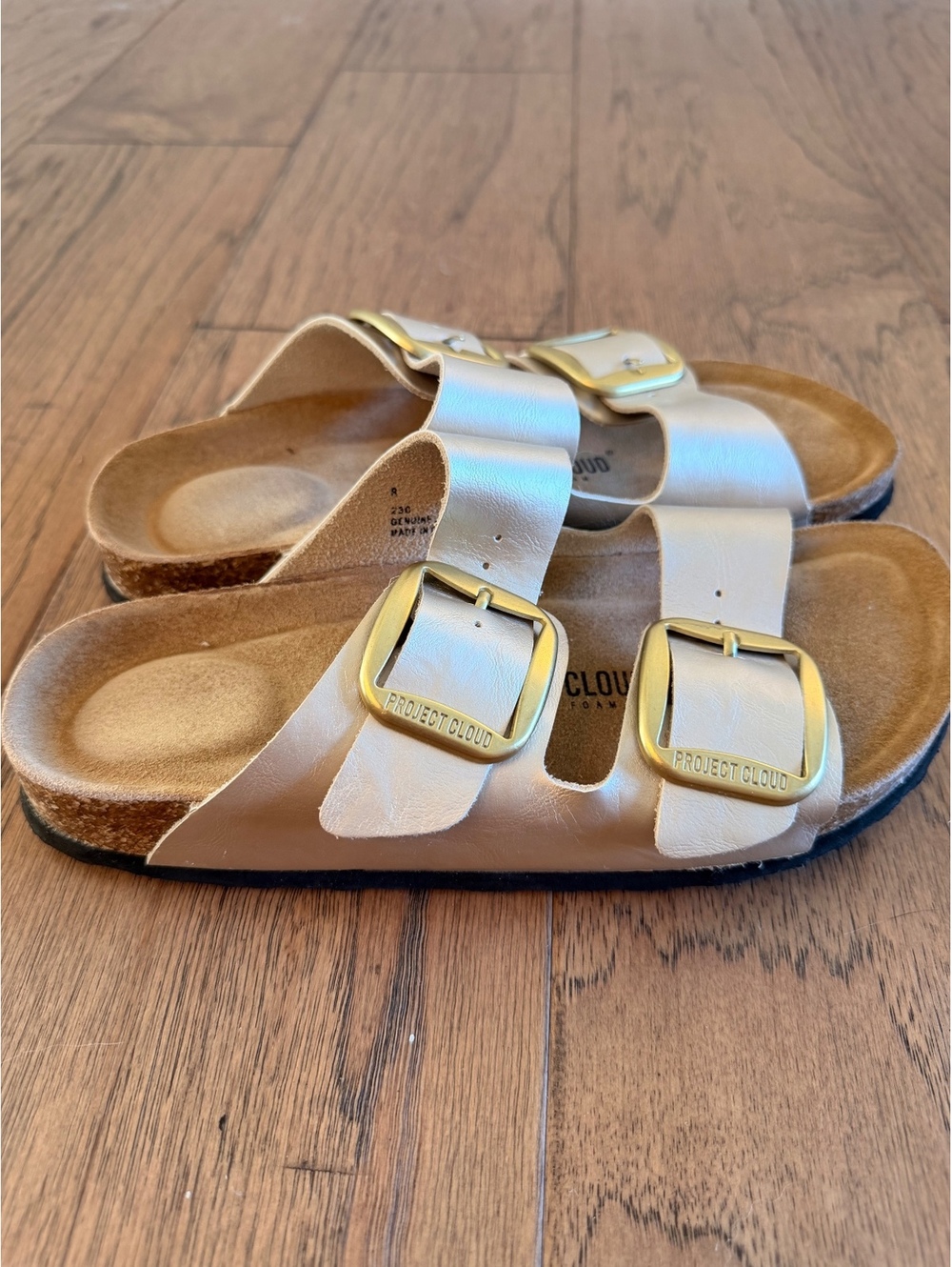 Project Cloud Women's Beige Gold Metallic Leather Double Buckle Slide Sandals